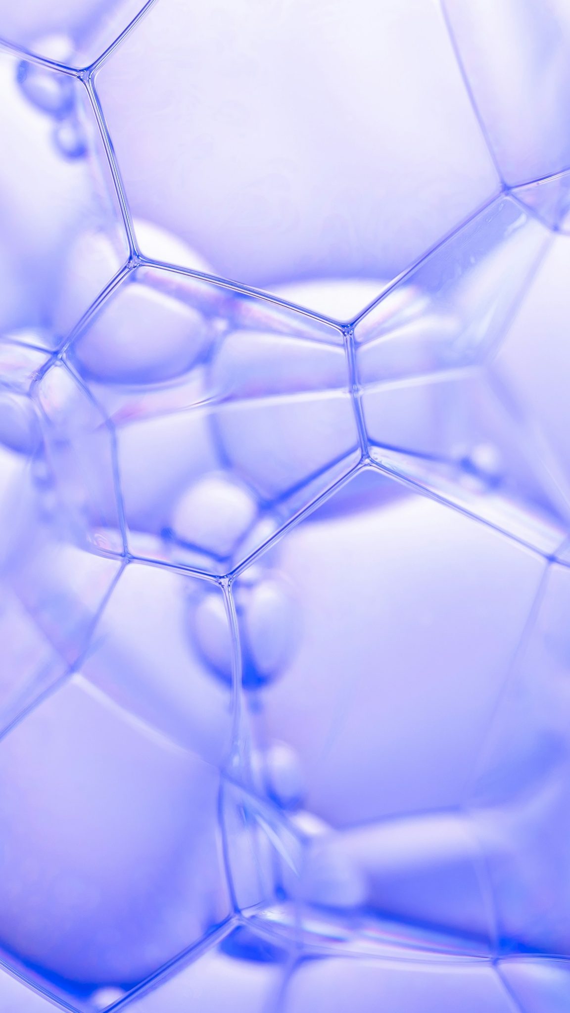 RTW Biotech’s Wong: GLP-1s are tackling the ‘largest pharmaceutical event the industry has ever seen’